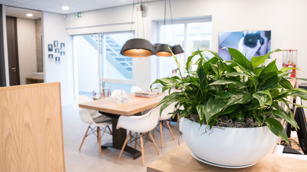 Wachtkamer met houten tafel, witte stoelen en groene plant bij Tandarts Alkmaar Daalmeer