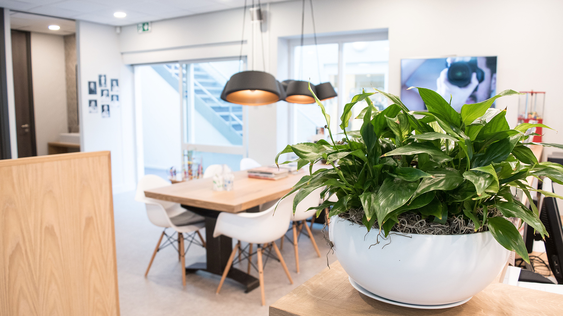 Wachtkamer met houten tafel, witte stoelen en groene plant bij Tandarts Alkmaar Daalmeer